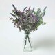 image 1 of Homescapes Set of 3 Purple Lavender Spray Single Stems