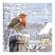 image 1 of Traditional Robin Christmas Greeting Cards - Pack of 12