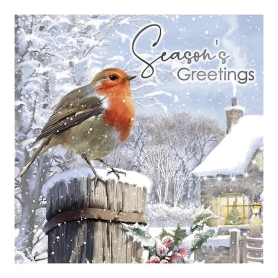 image 1 of Traditional Robin Christmas Greeting Cards - Pack of 12