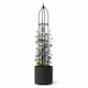 image 10 of Garden Obelisk for Climbing Plants 170cm - Metal Plant Cage Support Trellis Rose Tower for Flowers, Patio Pots, Shrubs, Borders