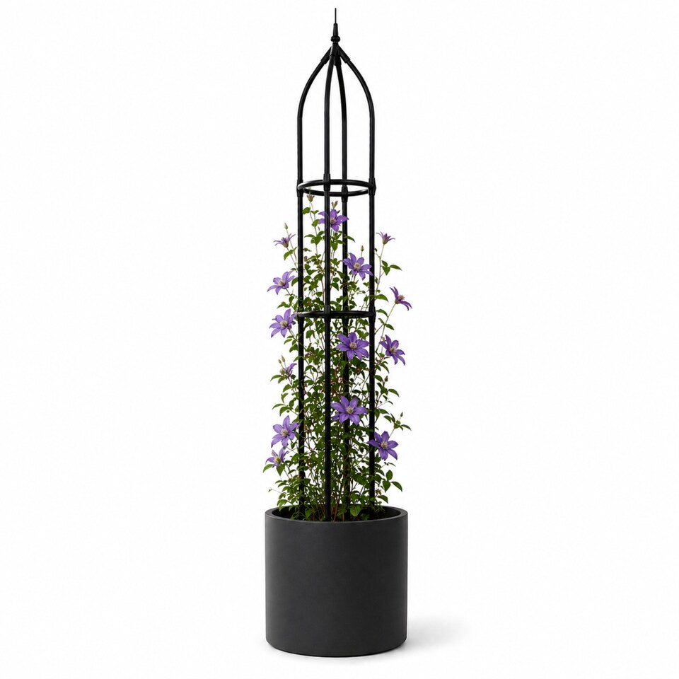image 1 of Garden Obelisk for Climbing Plants 170cm - Metal Plant Cage Support Trellis Rose Tower for Flowers, Patio Pots, Shrubs, Borders