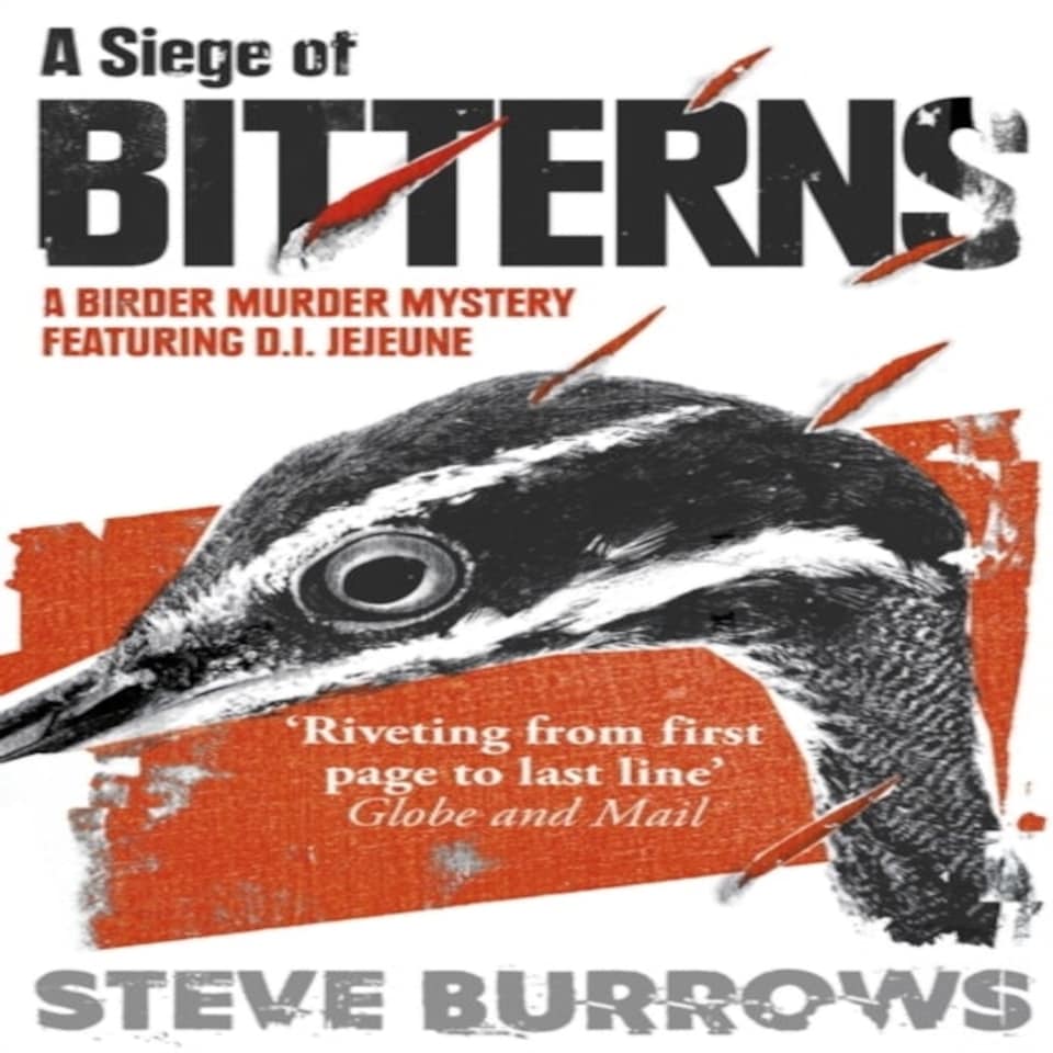 A Siege Of Bitterns