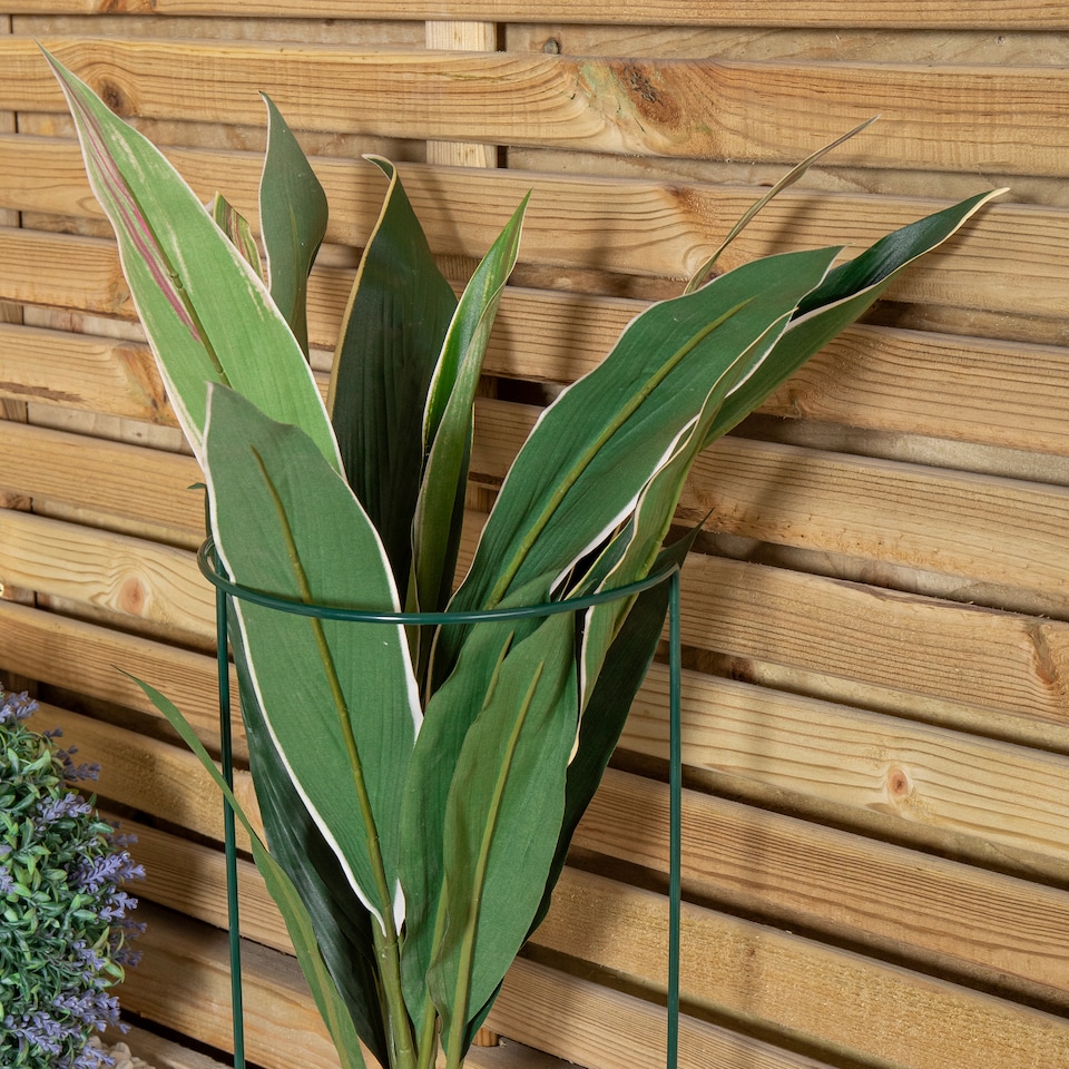 image 1 of Tom Chambers Urban Metal Green Herbaceous Garden Plant Support Arc 20cm x 60cm - Small