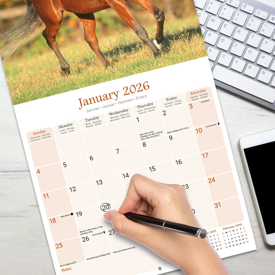 image 1 of Arabian Horses 2026 Calendar | Square Wall Calendar | Animal Gift | Plastic Free Packaging | by Avonside Publishing