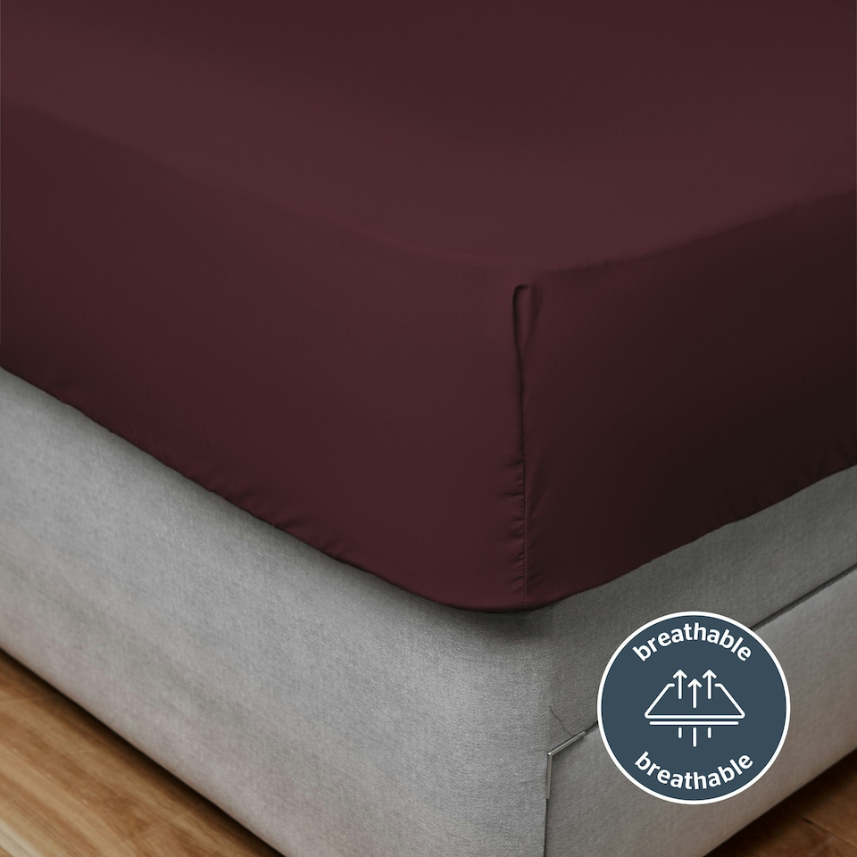 image 1 of Silentnight Supersoft Fitted Sheet | Purple | Berry | Double
