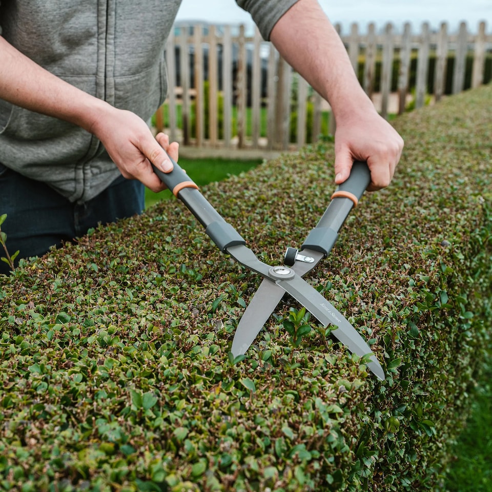 image 1 of Kent & Stowe Traditional Hedge Shears