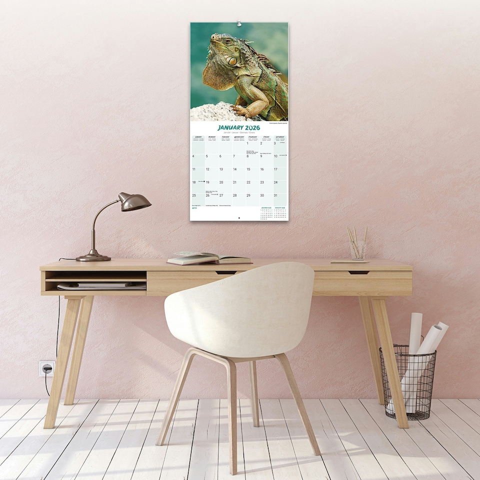 image 1 of Lizards 2026 Calendar | Square Wall Calendar | Reptile Gift | Plastic Free Packaging | by Avonside Publishing