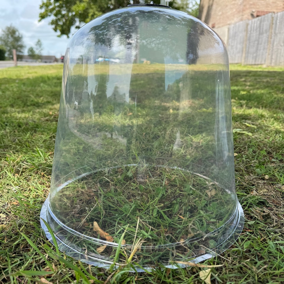 image 1 of Large Plastic Plant Protection Bell Cloche Covers with Ground Pegs - Pack of 3