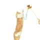 image 2 of PURLAB Groundhog Cat Teaser