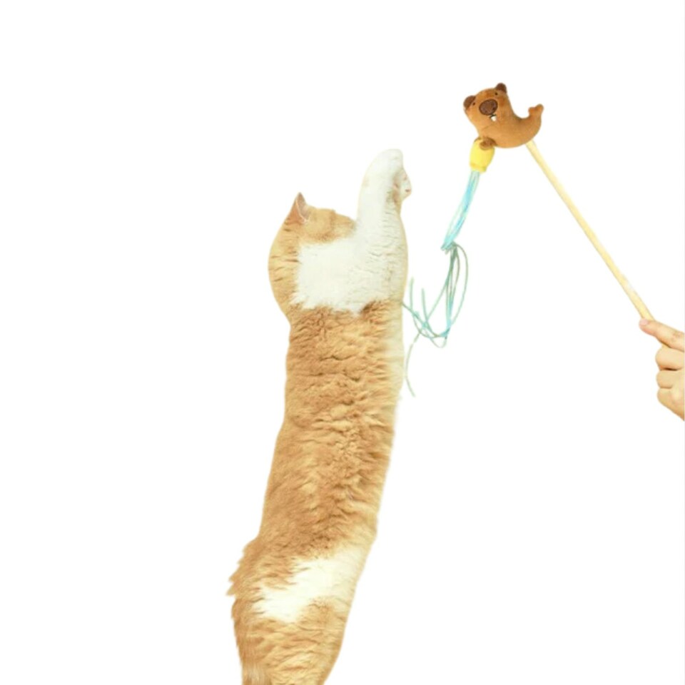 image 1 of PURLAB Groundhog Cat Teaser