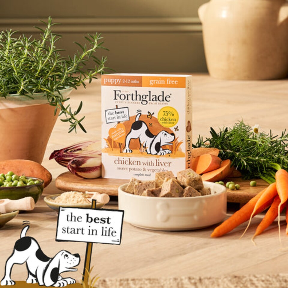 image 1 of Forthglade Natural Grain Free Chicken, Liver and Vegetables Puppy Wet Dog Food - 18 x 395g