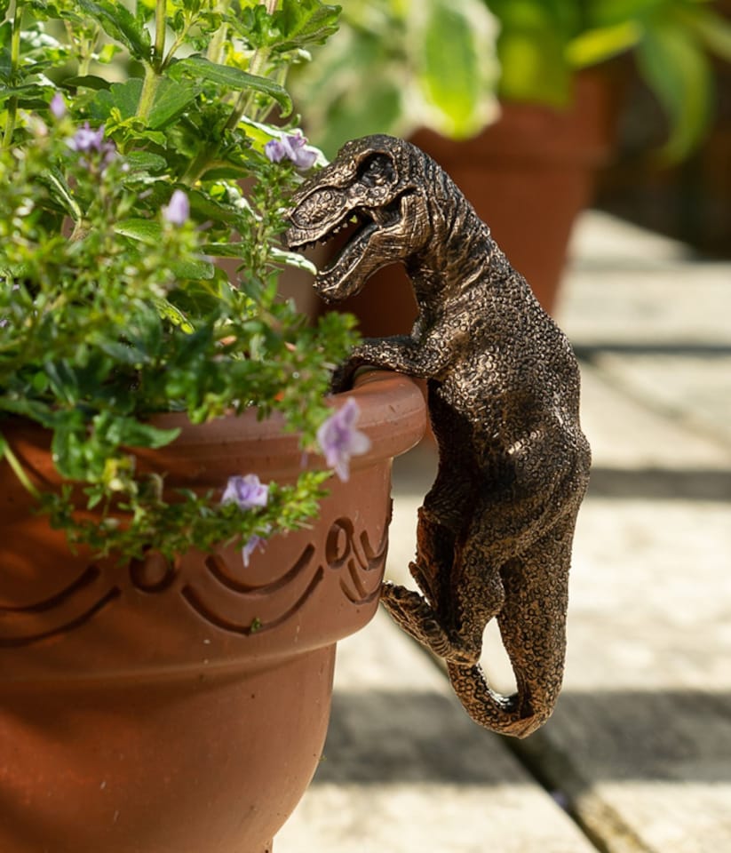 image 1 of Tyranasaurus Rex Plant Pot Hanger | Bronze