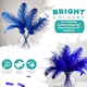 image 3 of Trimming shop 35-40cm Ostrich Feathers Plume - 5pcs