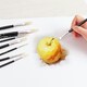 image 3 of Pack of 9 Assorted Size Wooden Handle Bristle Hair Artist Paint Brush Set