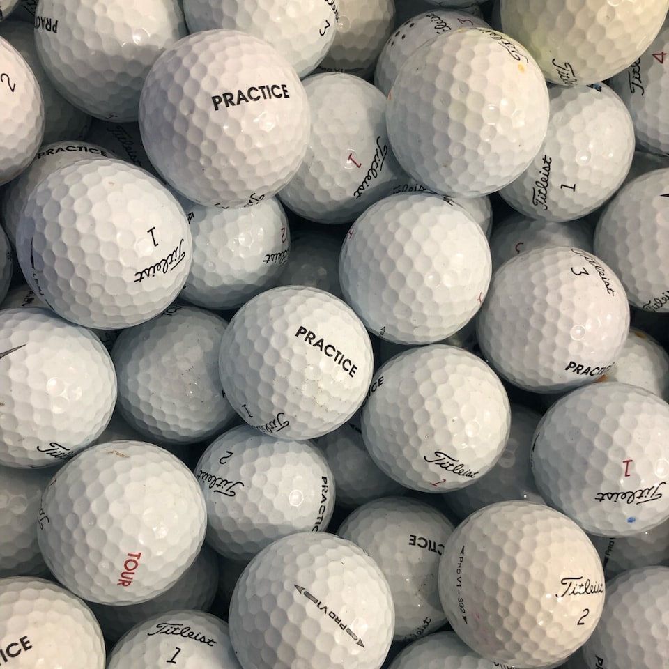 image 1 of Titleist PRO V1 & PRO V1X Practice Lake Golf Balls Grade A - 24 Pack