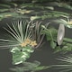 image 4 of Tropical Paradise Wallpaper in Green on Charcoal Multi
