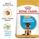 image 1 of Royal Canin German Shepherd Puppy Dry Dog Food - 12 kg | Multi | 12kg | Chicken, Duck, Pheasant | 1