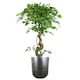 image 2 of 39cm x 33cm Coya Silver Ridged Planter Large Composite Plant Pot