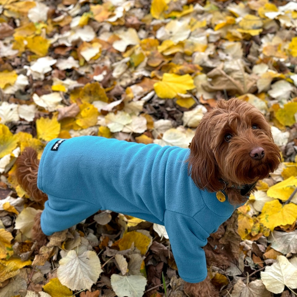 image 1 of Four Legged Dog Fleece - XXL / Teal Blue | XXL