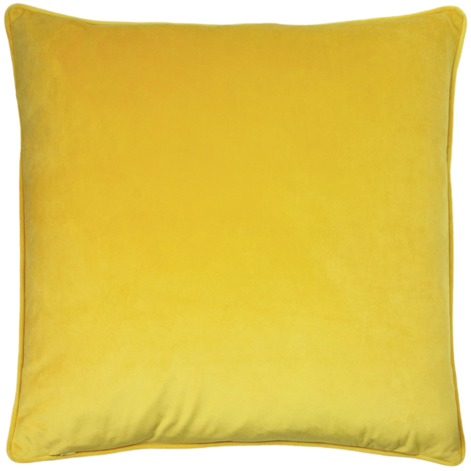 image 1 of Paoletti Hortus Embroidered Bee Cushion, Ceylon, 50 x 50cm