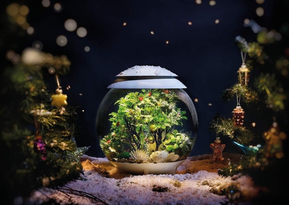 image 1 of biOrb Mistletoe Ball Aquarium Decoration Ornament