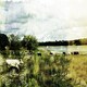 image 4 of Vintage Cow (Canvas Print) 44" x 30"