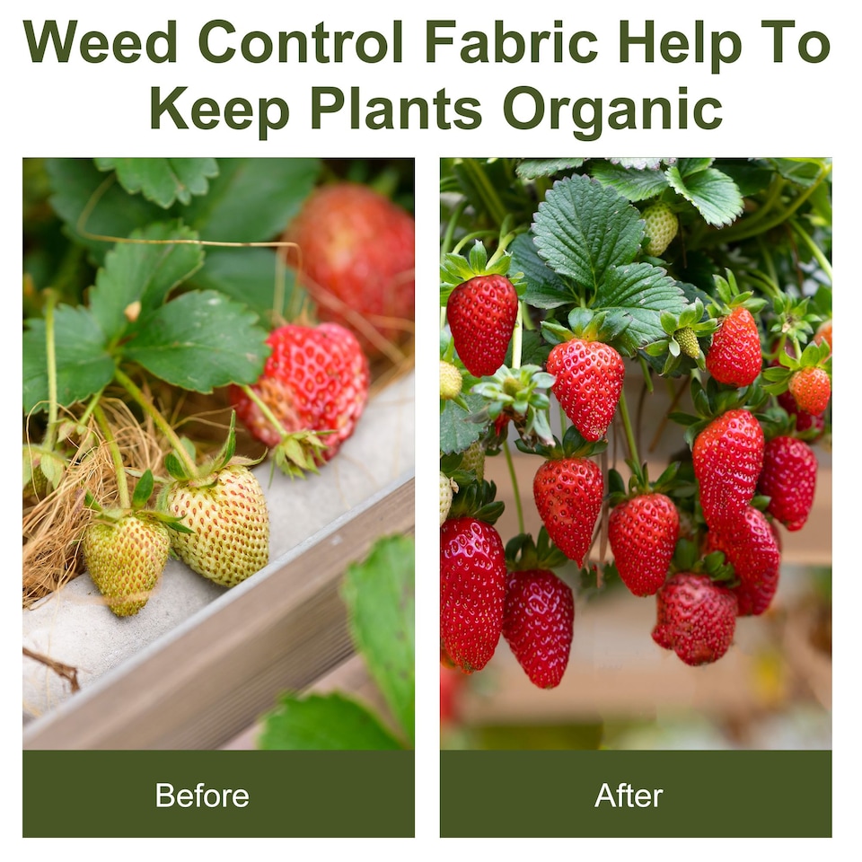 image 1 of Outsunny 2x50m Weed Barrier Fabric Durable Convenient Design Weed Block Mat