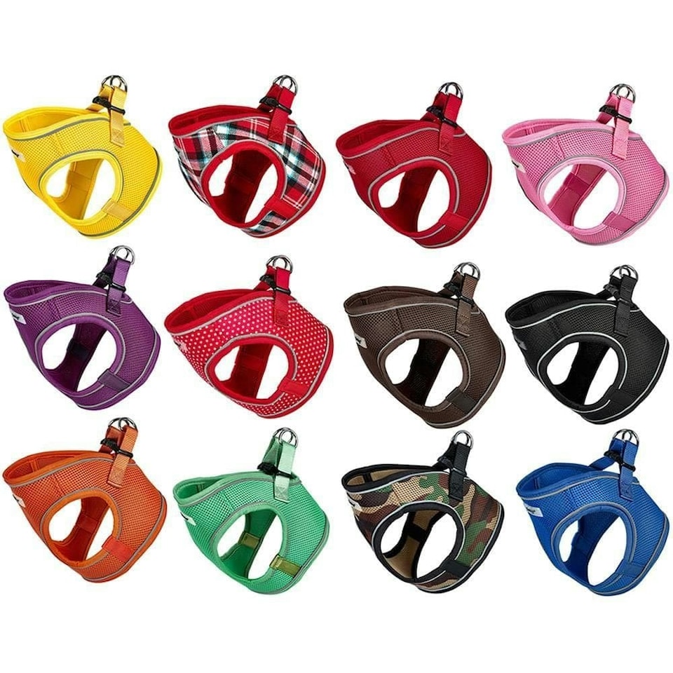 image 1 of Bunty Voyage Harness Purple | XS