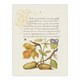 image 1 of Daffodil Flower and Oak Acorns Calligraphy Huge Wall Art Print 18X24 In