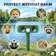 image 8 of Outsunny Cat Repellent for Gardens, Solar Ultrasonic PIR Fox Cat Deterrent | Green | Green | 14 x 9.2 x 37 cm