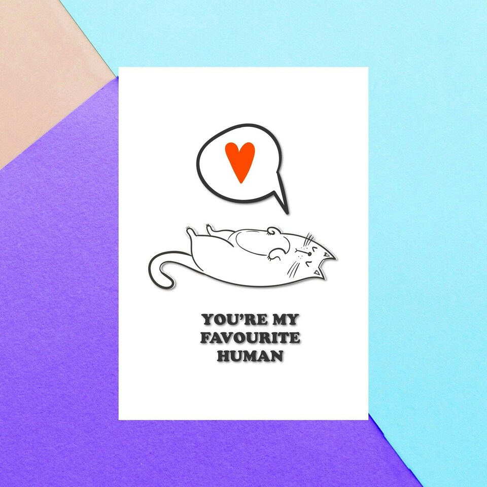 You're My Favourite Human From The Cat Greetings Card
