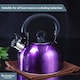 image 5 of Buckingham Camping Whistling Kettle Met Purple Colour Coated Stainless Steel with Heat Resistant Phenolic Handle 2.5 L