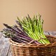 image 3 of Carbeth Plants 9 x Asparagus Crown Pacific Purple Roots for Planting - Premium Quality Vegetable Perennials for Kitchen Gardens & Allotments