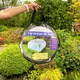 image 6 of GardenSkill Pop Up Insect Net Fruit Cage & Vegetable Protection Cover -  1 x 0.75m H