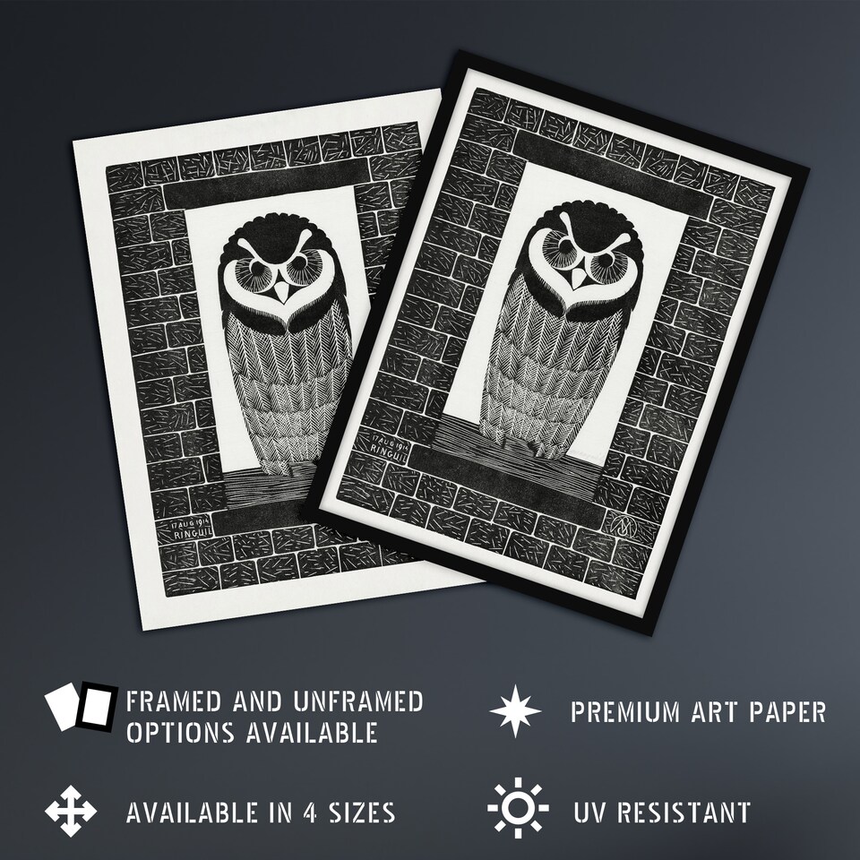 image 1 of Ringuil Owl Bird on a Window De Mesquita Framed Wall Art Print 12X16"