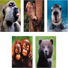 National Geographic Photographic Animals Pack of 10 in 5 Designs Birthday Thank You Blank Cards