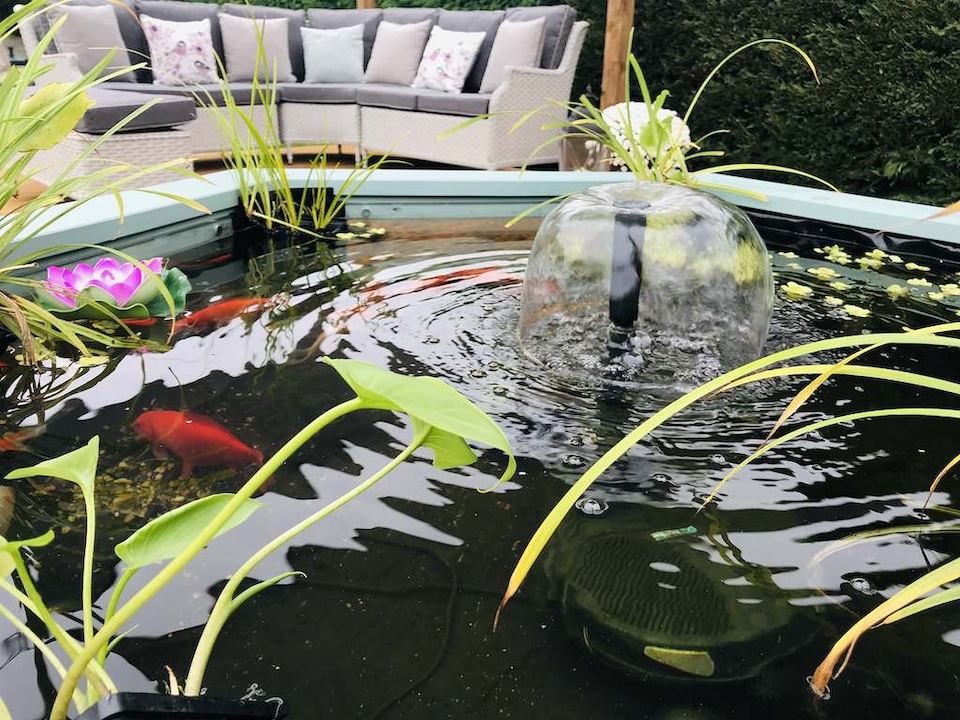 image 1 of Raised hexagon pond with large windows Lily Clear View Garden Aquarium in Grey