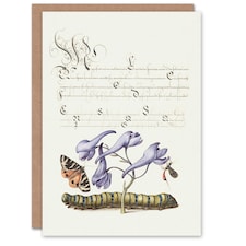 Model Book of Calligraphy Art Card Butterfly Caterpillar and Flower