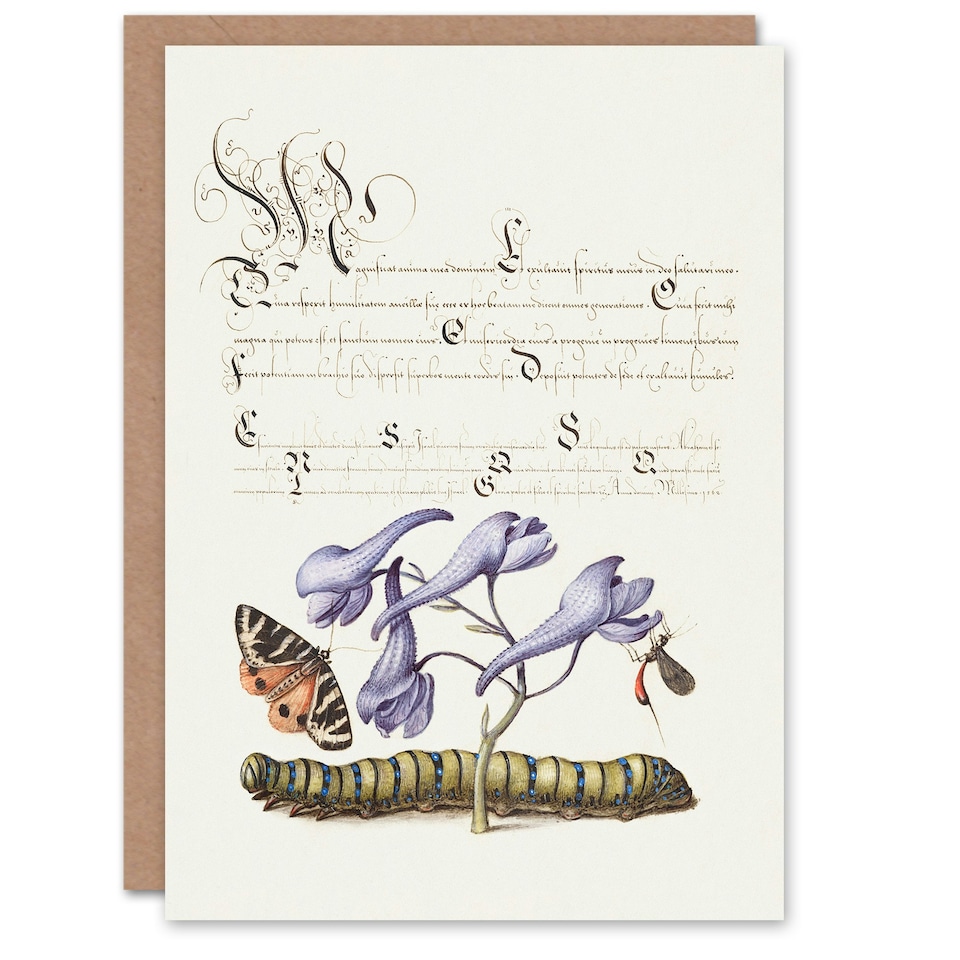 image 1 of Model Book of Calligraphy Art Card Butterfly Caterpillar and Flower