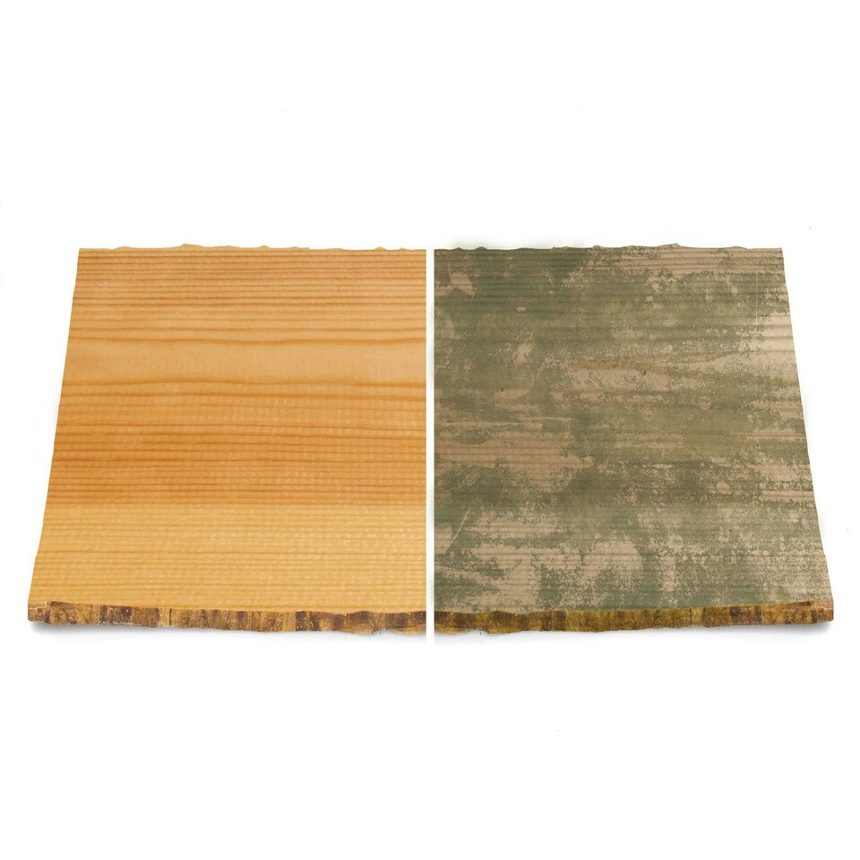 image 1 of Roxil 100 Green Mould, Algae, Lichen Killer - 500ml - Patio, Deck, Fence & Paving Restorer