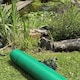 image 3 of Pegdev Protective Pond Netting White UV Mesh Garden Fish Plant Safety 26m