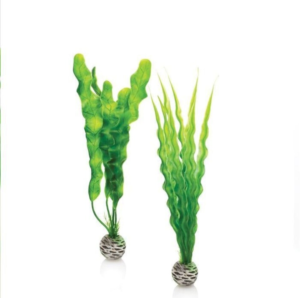 image 1 of BiOrb Easy Plants (Medium x2) - PL02
