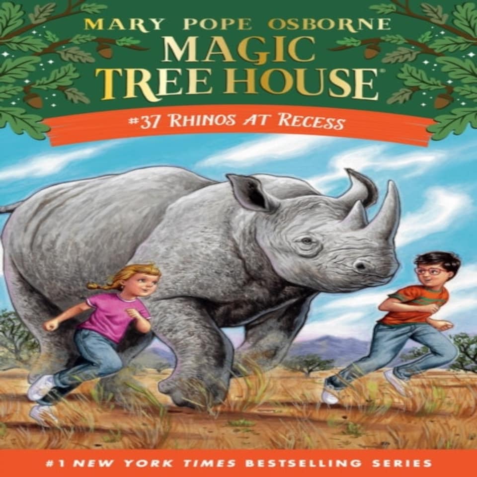Rhinos At Recess