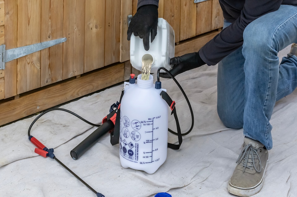 image 1 of Soluguard Woodworm and Rot Treatment (5L Clear & Sprayer) - Ready for Use & Spear & Jackson Sprayer. Solvent-Free Woodworm Killer