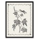image 1 of Vintage Botanical Pustulata Leaves Hibberd Framed Wall Art Print 12X16"