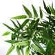 image 5 of Artificial Oriental Bamboo Plant 150cm - Realistic plant by Botanik Green | One Size