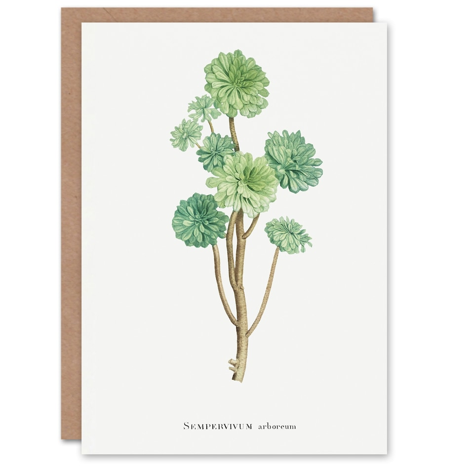 image 1 of Pierre-Joseph Redouté Art Card Tree Houseleek Succulent