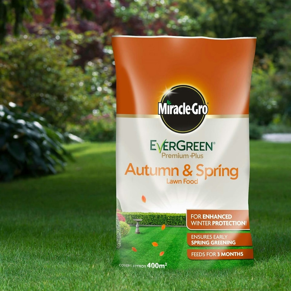 image 1 of Miracle-Gro EverGreen Lawn Food 8kg - 400m²