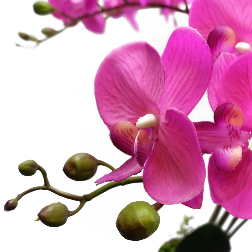 image 1 of 85cm Artificial Dark Pink Deluxe Bush Orchid - Realistic