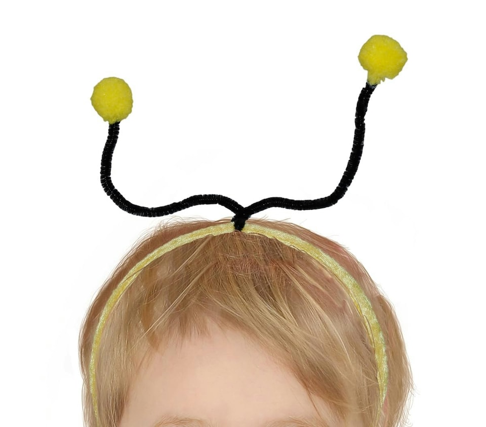 image 1 of Fancy Dress Child Lil Bug - 18-24 m